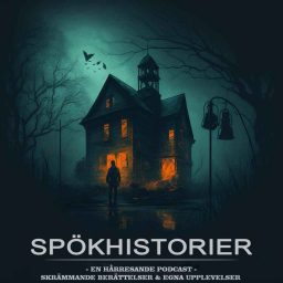 Artwork for SPÖKHISTORIER
