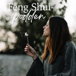 Artwork for Feng Shui-podden