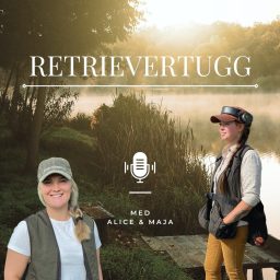 Artwork for Retrievertugg