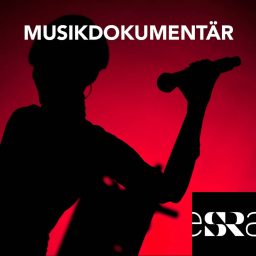 Artwork for Musikdokumentär