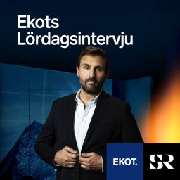 Artwork for Ekots lördagsintervju