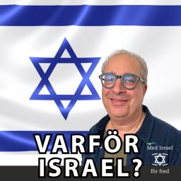Artwork for Varför Israel?