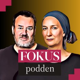 Artwork for Fokuspodden
