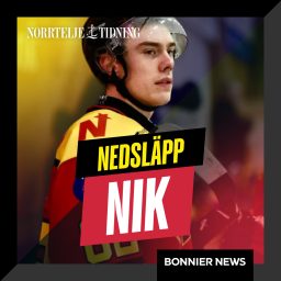 Artwork for Nedsläpp NIK