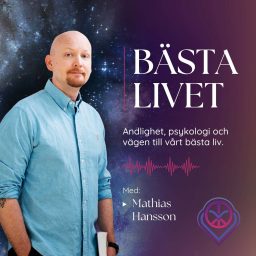Artwork for Bästa livet