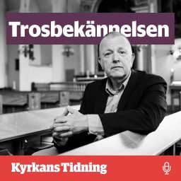 Artwork for Trosbekännelsen
