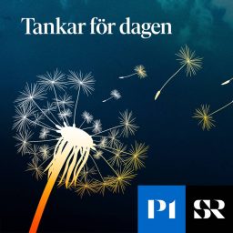 Artwork for Tankar för dagen