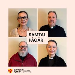Artwork for Samtal pågår