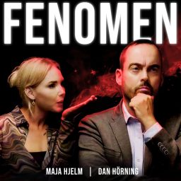 Artwork for Fenomen