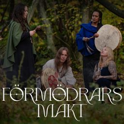 Artwork for Förmödrars makt