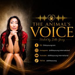 Artwork for The Animals Voice