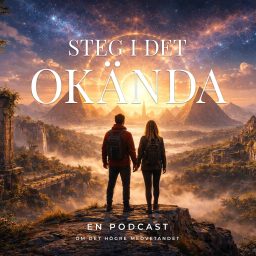 Artwork for Steg i det okända