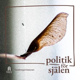 Artwork for Politik för själen