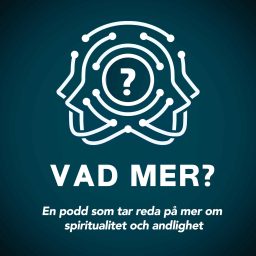Artwork for Vad Mer?