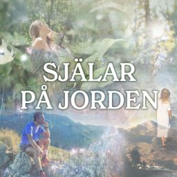 Artwork for Själar på jorden