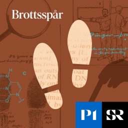 Artwork for Brottsspår