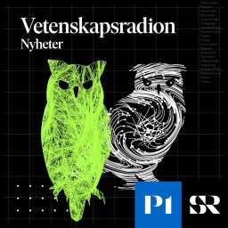 Artwork for Vetenskapsradion Nyheter