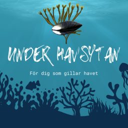 Artwork for Under havsytan