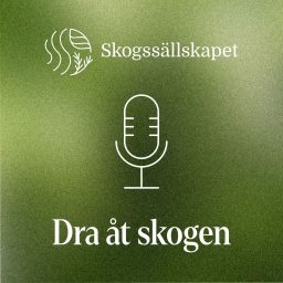 Artwork for Dra åt skogen