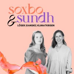 Artwork for Soxbo & Sundh