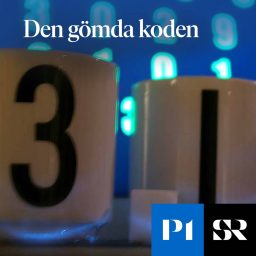 Artwork for Den gömda koden