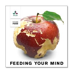 Artwork for Feeding Your Mind