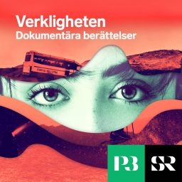 Artwork for Verkligheten