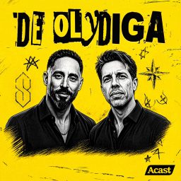 Artwork for De Olydiga