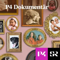 Artwork for P4 Dokumentär