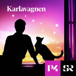 Artwork for Karlavagnen
