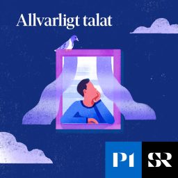 Artwork for Allvarligt talat