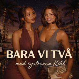 Artwork for Bara Vi Två