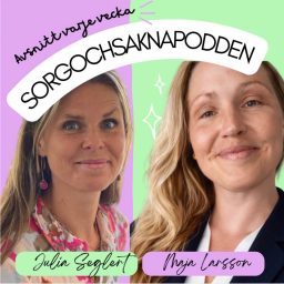 Artwork for Sorgochsaknapodden