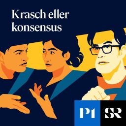 Artwork for Krasch eller konsensus