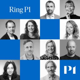 Artwork for Ring P1 - 020-22 10 10
