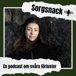 Artwork for Sorgsnack