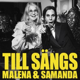 Artwork for Till Sängs