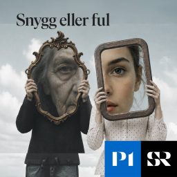 Artwork for Snygg eller ful