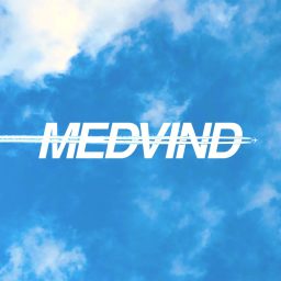 Artwork for MEDVIND