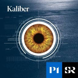 Artwork for Kaliber