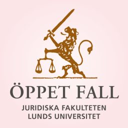 Artwork for Öppet fall