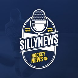 Artwork for Sillynews
