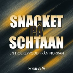 Artwork for Snacket på Schtaan