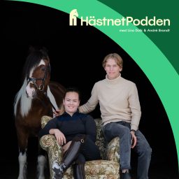 Artwork for HästnetPodden