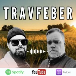 Artwork for Travfeber är Sveriges bästa travpodd