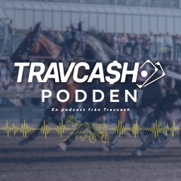 Artwork for Travcash
