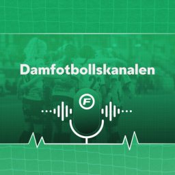 Artwork for Damfotbollskanalen