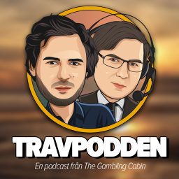 Artwork for Travpodden