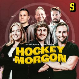 Artwork for Hockeymorgon