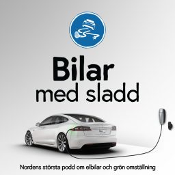 Artwork for Bilar med sladd
